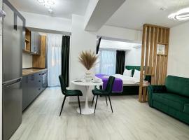 Luxury Studios at Unique opposite Palas with Parking，位于雅西的酒店