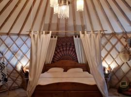 Vakantiewoning in monumentale boerderij met yurt，位于Eckelrade的酒店