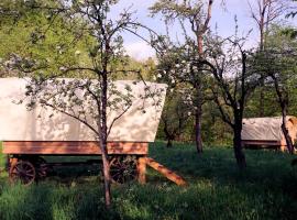 Glamping Tlaka，位于Gornji Grad的豪华帐篷营地