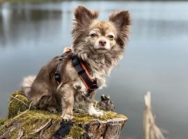 Hundeurlaub im Tiny House im Wald，位于Tanna的酒店