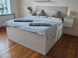 Wilda, centrum, duży apartament z garażem