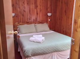 Hotel Elizabeth En Coñaripe，位于柯纳里佩的酒店
