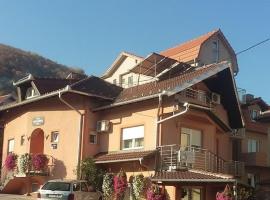 Vila Aleksandra 1 Sokobanja，位于索科矿泉村的酒店