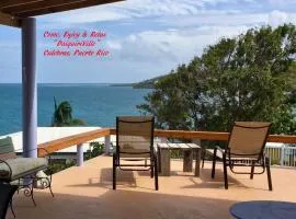 Come, Enjoy & Relax DaiquiriVille on Culebra Island Puerto Rico