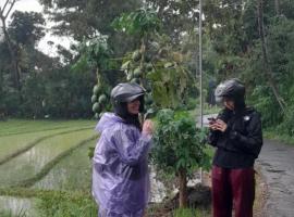 Moto driver tour Borobudur , Rice terace, sacred waterfall，位于Blaburan的露营地