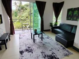 Golden hill somersqaure 3 bed room apartment