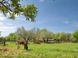 Green Ranch Stara Maslina