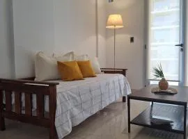 Executive level apartment in the heart of NQN