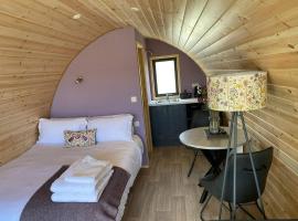 Dingle Wild - Luxury Pod，位于丁格尔的酒店