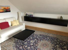 Ferienwohnung in Furth im Wald，位于林区富尔特的酒店