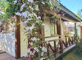 Nahuel Huapi area，位于迪娜·瓦皮的酒店