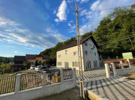 Pensiunea Ovidiu，位于贝克良的酒店