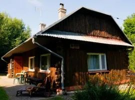 Ptasi Śpiew