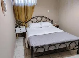 SR Spiros Home - Semi-basement