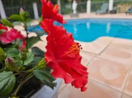 Les jardins du Patriarche Hôtel