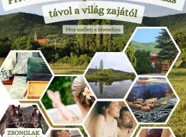 Zsonglak Vendégház