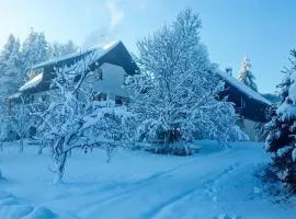 Holiday house with a parking space Srednja Draga, Gorski kotar - 24140