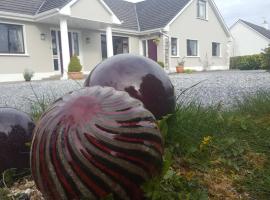 Ely House B&B，位于Shannonbridge的酒店