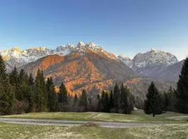 Apartment Brina
