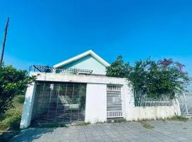 Ao house
