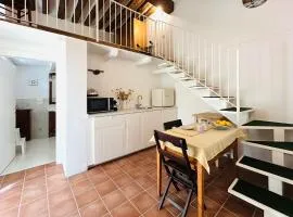 Lumi-House