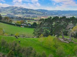 Pine Hill Cottage -Auckland，位于Tuakau的酒店