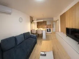 Apartmani Central A11 & Free parking