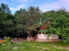 Biniște -Tiny House by the river，位于Dejani的酒店