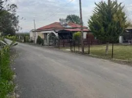 Dimis Right House