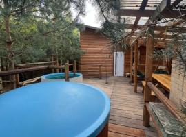 Pasakų pirtelė，位于维尔纽斯的带泳池的酒店