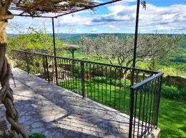 Studio Apartment Belvedere