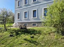 Ferienwohnung Schwalbennest2