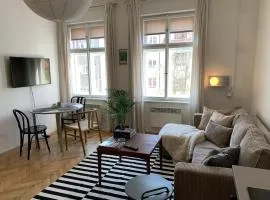 Apartmán v srdci Tábora