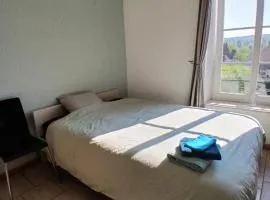 Grande chambre lumineuse au coeur de la Gaume - Chambre 4 - 1er étage
