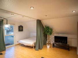 Bollwiller Modern Loft with Pool and Gym，位于博尔维莱尔的酒店