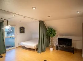 Bollwiller Modern Loft with Pool and Gym