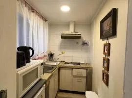Cabañas entre ríos Talca