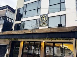 HOTEl AIRPORT PEREIRA，位于佩雷拉的酒店