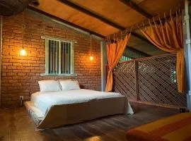 Moss Forest Cabin Wild Hikes &River Escapes with all meals