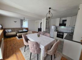 Къща ВИРА，位于Ravnogor的乡村别墅