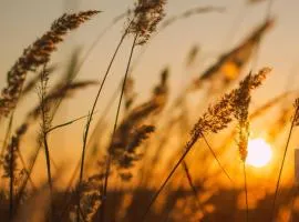 B&B du Marais à 2km de Marennes, une chambre d'hôtes au bord du canal, proche plages et Vélodyssée