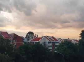 Chez Marcel la Briza Dunării