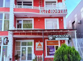 Elit Hostel Qabala，位于盖贝莱的酒店