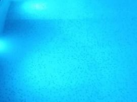 Casa Vargas Veracruz，位于Antón Lizardo的酒店