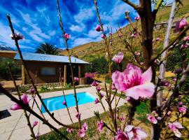 Piuquenes Lodge - Cabañas, Viñedos y estrellas en Horcón, Valle de Elqui，位于Horcon的酒店