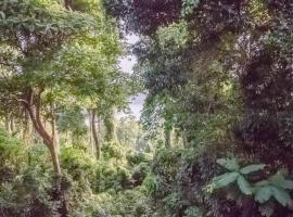 FOREST and OCEAN Nest with Self-Service Breakfast - AC, Monkeys, Pet Friendly with a Fee，位于Subic Bay Intl的酒店