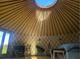 Jurte mit Kaminofen, Sauna & Sternenhimmel- Hasseldorf 10