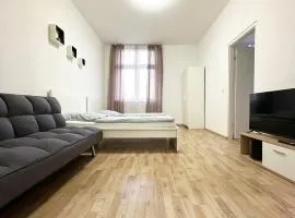 cosy three room apartment with flatscreen TV