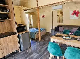 Grande Chambre tout confort 4