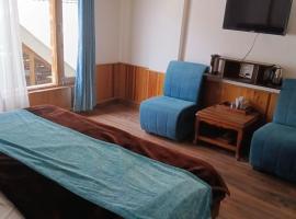 Tirthan Villa Resort，位于Gushaini的酒店